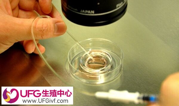 取8个卵能配成几个
