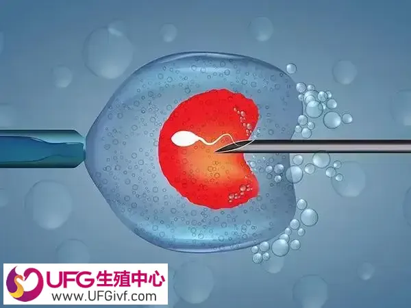 一次放两个囊胚有什么好处
