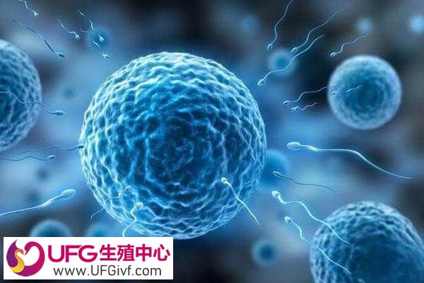卵泡少做一代试管怎么备孕