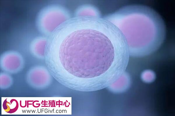 试管要取多少个卵泡