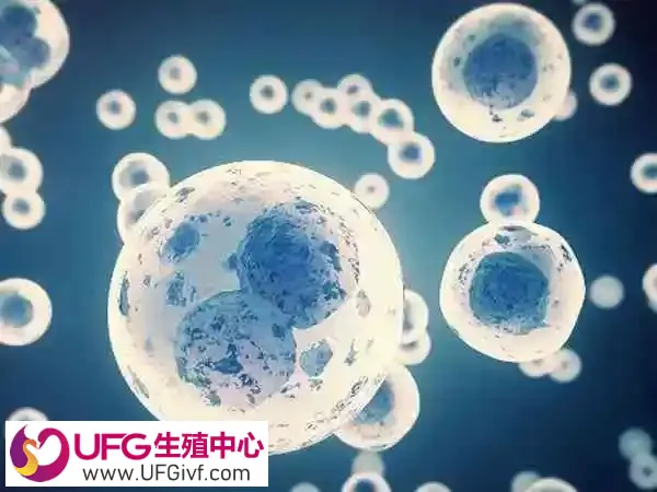 试管移植前后吃松康泉胶囊的作用