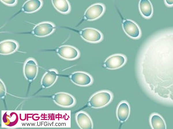 精子质量差做试管怎么提高成功率