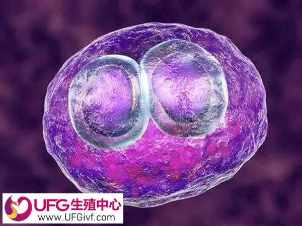 试管移植20天药渣有血什么原因