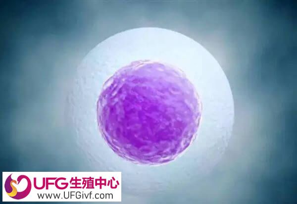移植胚胎后在宫内着床需要时间和条件