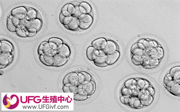 移植囊胚12天肚子扎疼怎么回事