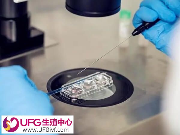 促排期间为什么卵泡会减少