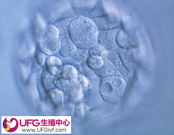 孕酮水平越高胚胎的落床率就越高