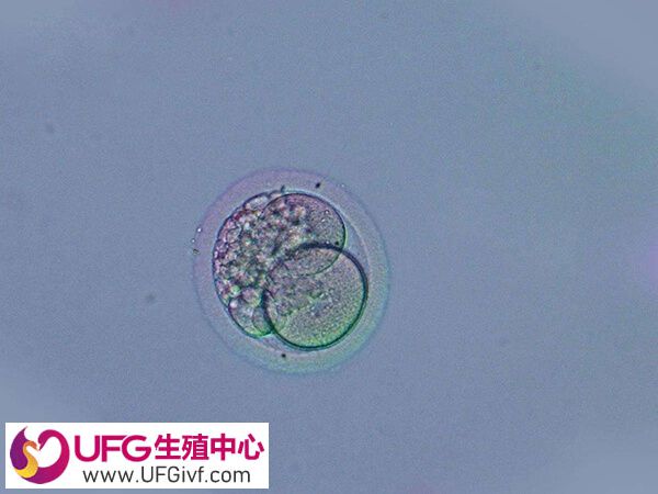 三天的胚胎评级较低质量差能拿去养囊吗？