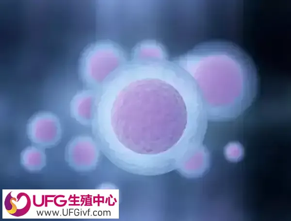 卵泡破裂的感觉