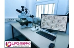 试管一次不成功二次移植费用多少
